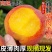 湖北襄阳黄桃大吨位供货品质高！