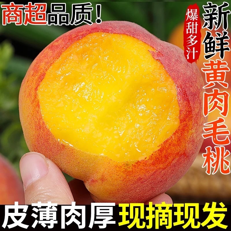 湖北襄阳黄桃大吨位供货品质高！