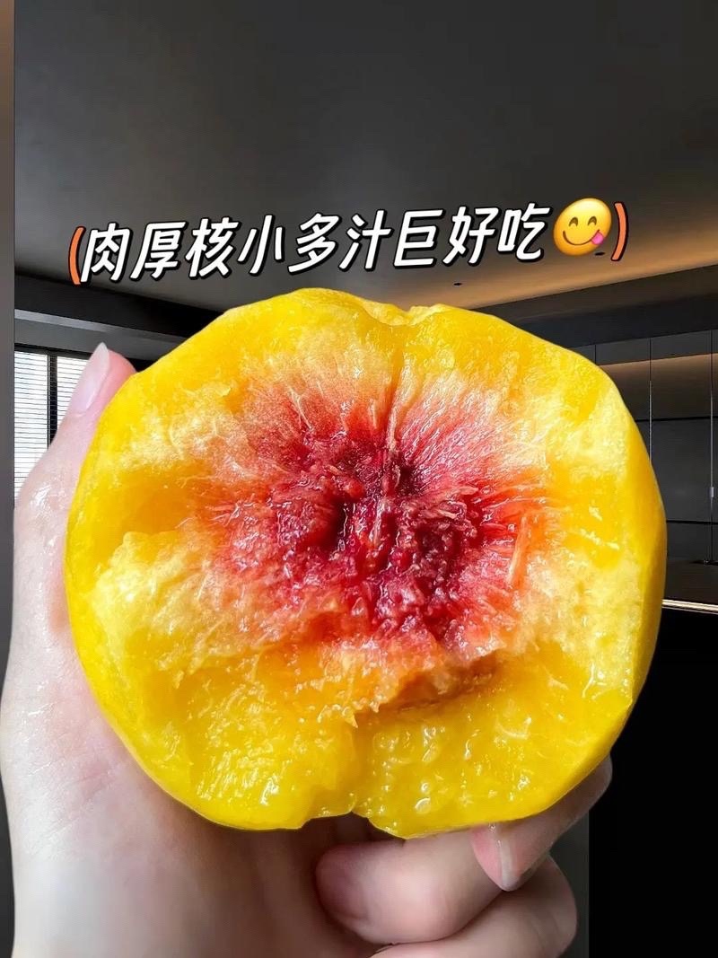 湖北襄阳黄桃大吨位供货品质高！