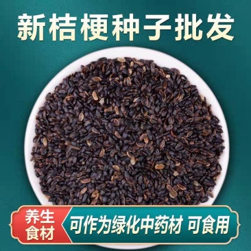 桔梗种子/亳州发货/发芽率高/提供技术指导/全国供应批发