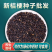 桔梗种子/亳州发货/发芽率高/提供技术指导/全国供应批发