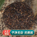 桔梗种子/亳州发货/发芽率高/提供技术指导/全国供应批发