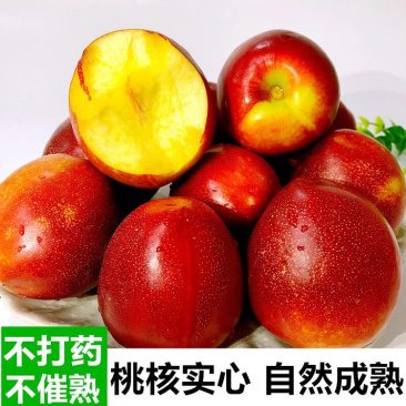 湖北襄阳油桃各种品类都有大吨位供货