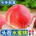 湖北襄阳毛桃各种品种都有大吨位供应！
