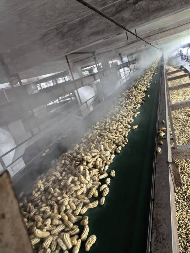 2025第一季水煮花生，软脆均有口感香甜，大量有货