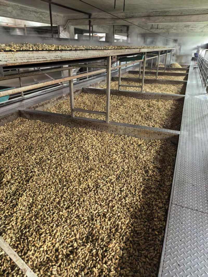 2025第一季水煮花生，软脆均有口感香甜，大量有货