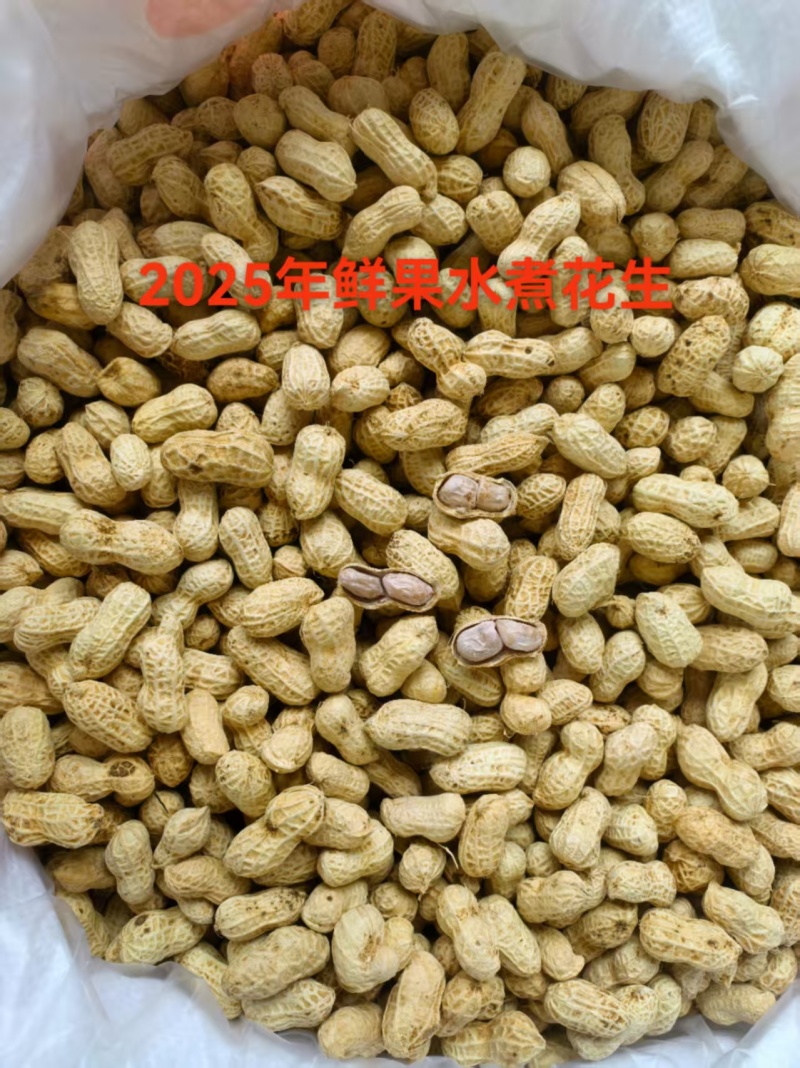 2025第一季水煮花生，软脆均有口感香甜，大量有货