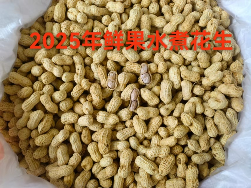 2025第一季水煮花生，软脆均有口感香甜，大量有货