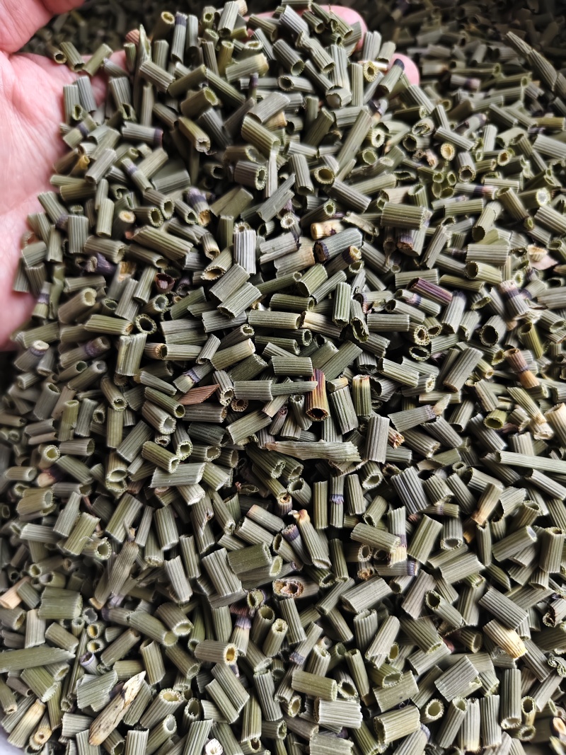 木贼中药材天然野生正品木贼木贼草节节草散装批发