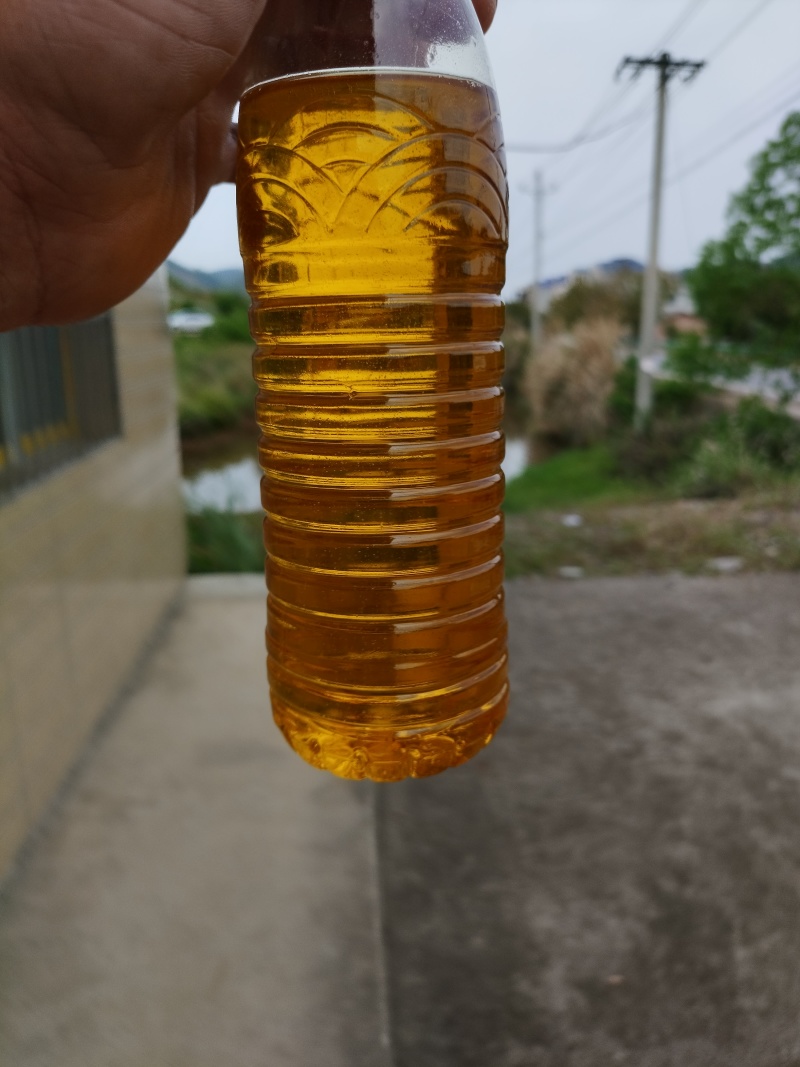 湖北山茶油