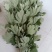 艾草新鲜端午节挂门驱蚊虫野生正宗艾草整棵带杆现割洗澡泡脚