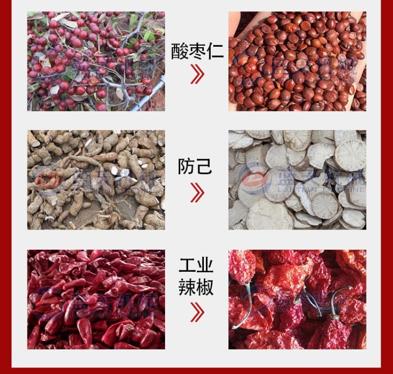 茭白烘干机茭白丝干菜烘干房自动蔬菜脱水机安徽茭白丝风干房