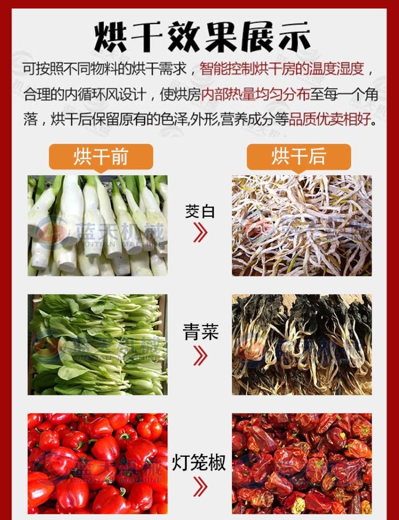 茭白烘干机茭白丝干菜烘干房自动蔬菜脱水机安徽茭白丝风干房