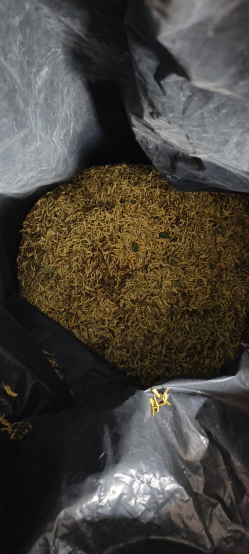 金银花自种自烘***金银花人工采摘自然烘干量大质优