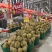 金枕榴莲基地直发大量现货保质保量坏果包赔包售后