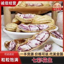 七彩花生现挖现煮现发，一手货源，支持一件代发集采全年