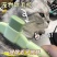猫咪梳子狗狗梳毛排梳毛刷长毛密齿针梳开结去浮毛神器宠物