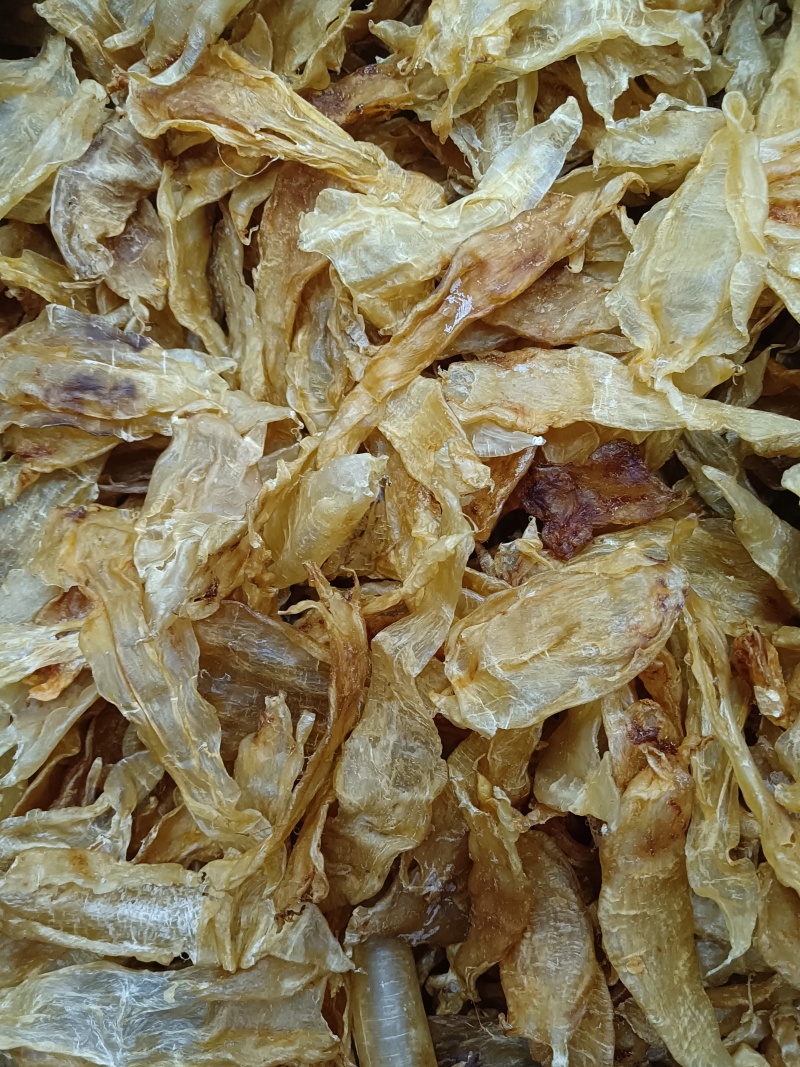北海胶北海筒胶鱼胶花胶鳘鱼胶产地源头直供一手代理货源