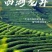 西湖龙井雨前茶，叶形较大，滋味浓厚，汤色清澈明黄，价廉物美
