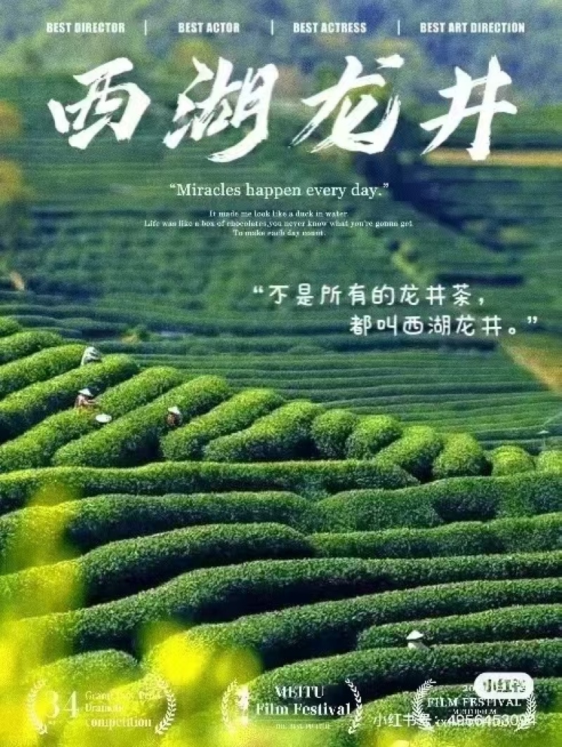 西湖龙井一两(50g)随手礼(官方版)配明前特级(手工茶)
