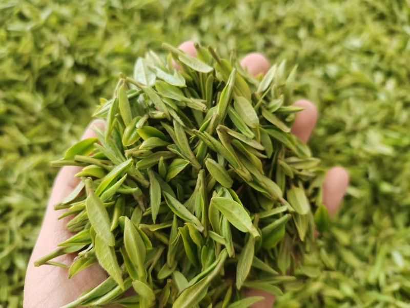 西湖龙井一两(50g)随手礼(官方版)配明前特级(手工茶)
