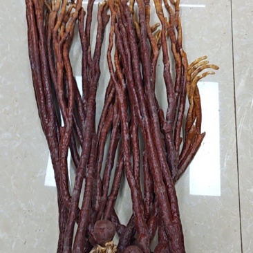 鹿角灵芝
