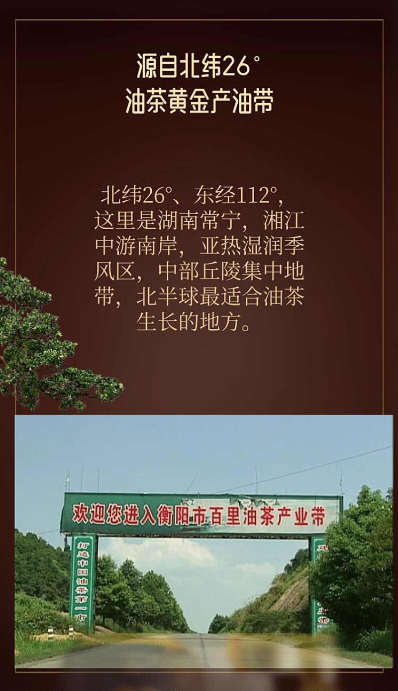 常林农耕山茶油物理冷榨地标产品纯山茶油无任何添加