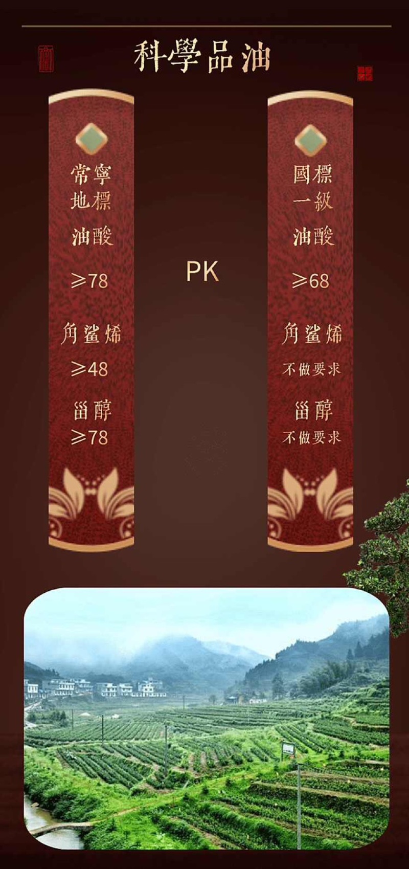 常林农耕山茶油物理冷榨地标产品纯山茶油无任何添加