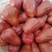 泰国莲雾果