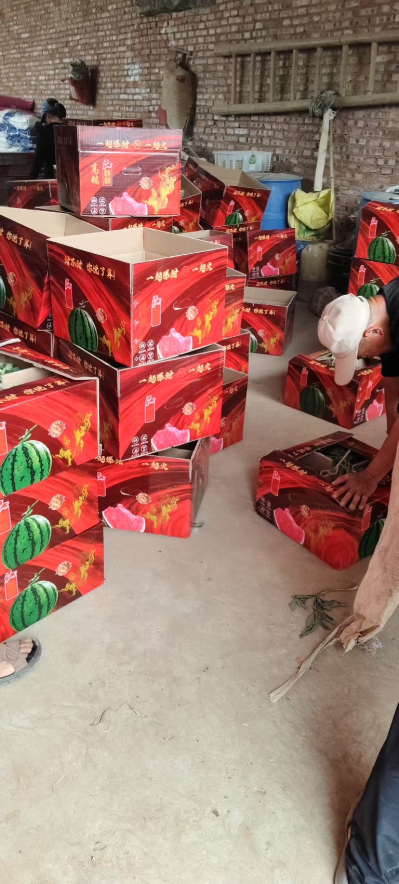 精品植生苗美都西瓜，8424麒麟西瓜大量上市了，大将价了