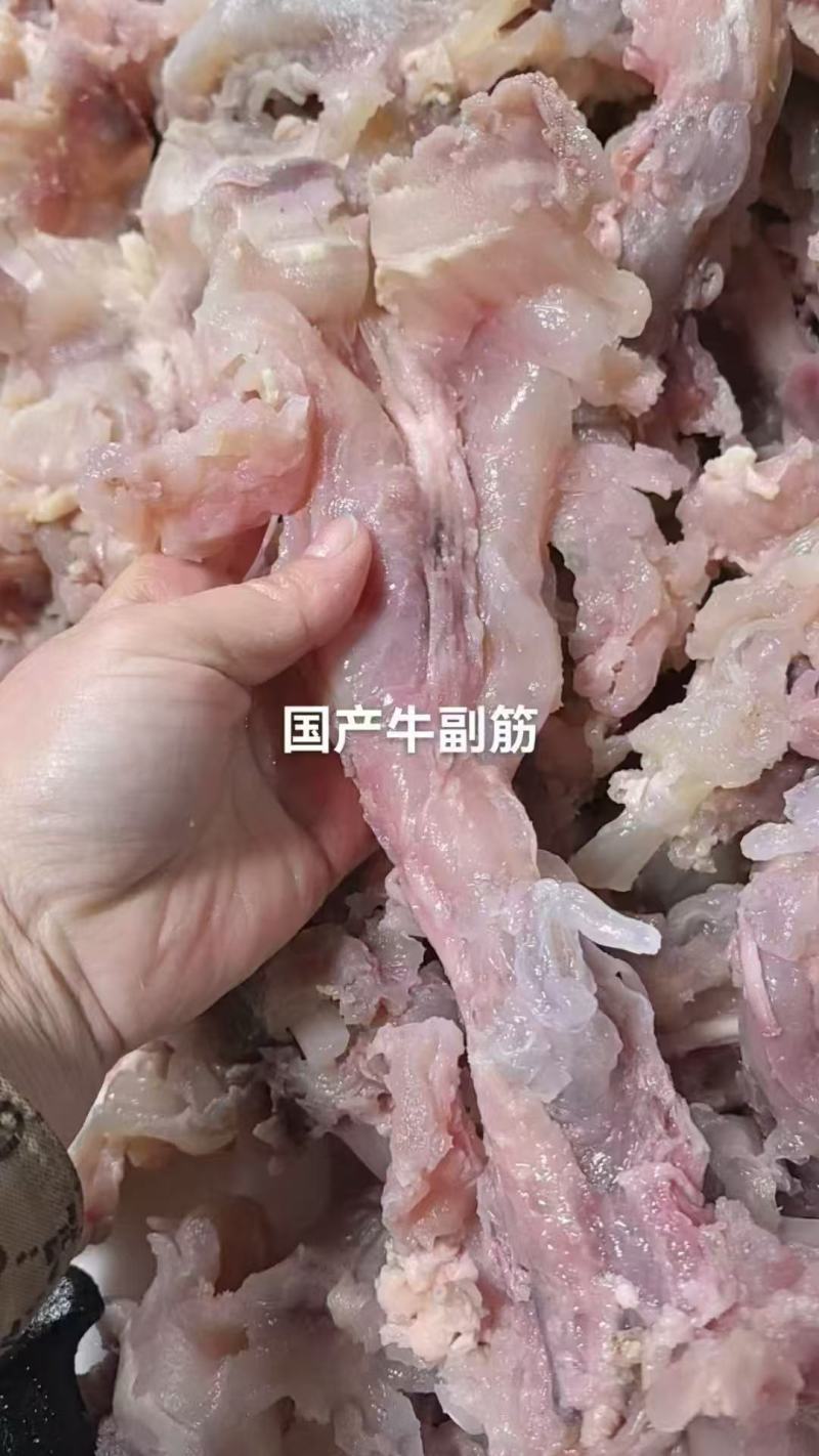 熟牛副筋，精修干净无毛，清水加工，无碱出成率高，可定制