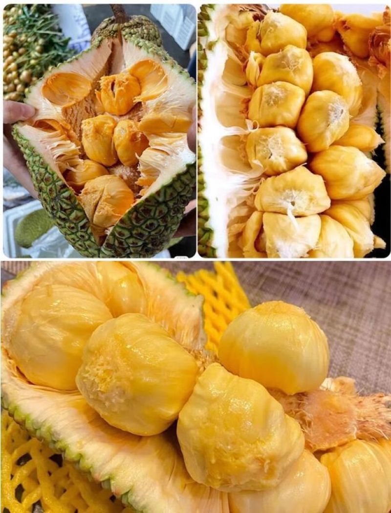 海南榴莲蜜批发，全国发货