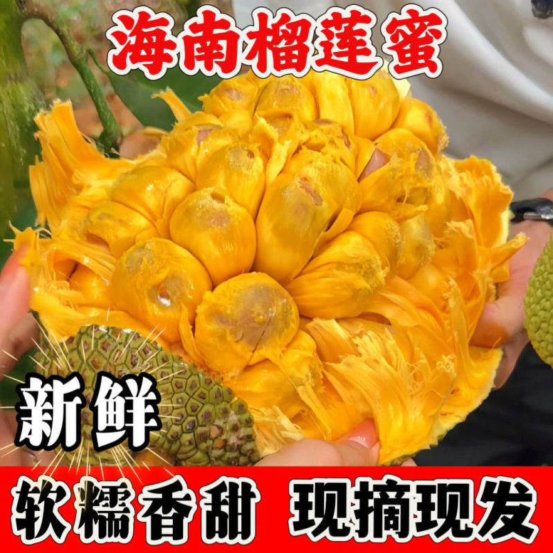 海南榴莲蜜批发，全国发货