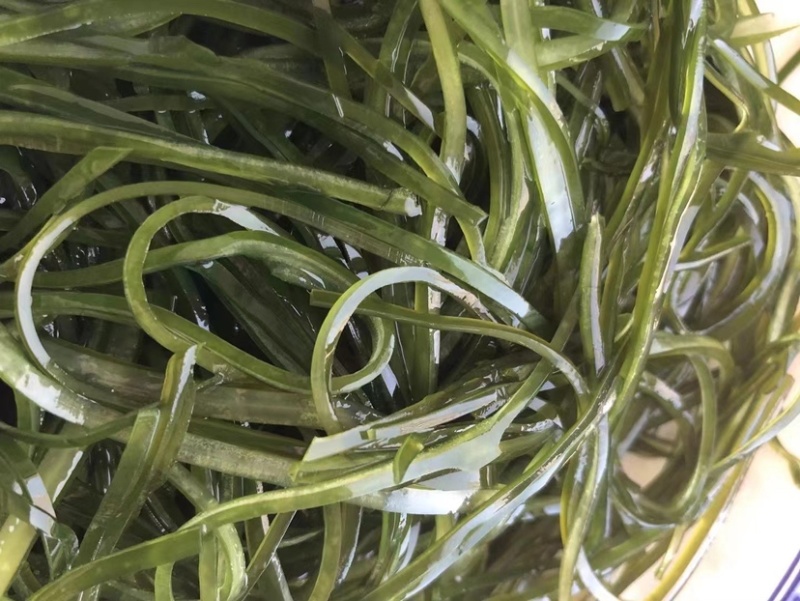 淡干海带丝烘干压缩海带丝海洋蔬菜顶刀丝海带
