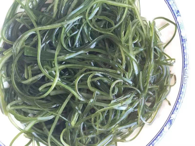 淡干海带丝烘干压缩海带丝海洋蔬菜顶刀丝海带