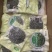 淡干海带丝烘干压缩海带丝海洋蔬菜顶刀丝海带