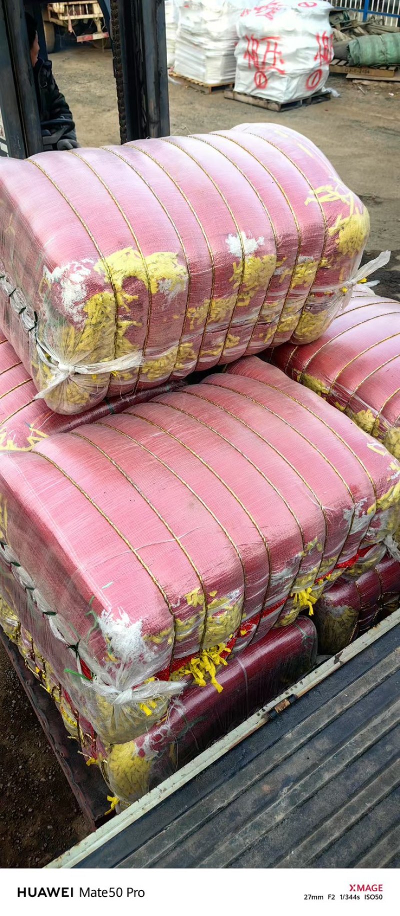 精品厂家直发大量供应网袋，蔬菜网袋大量供应规格齐全