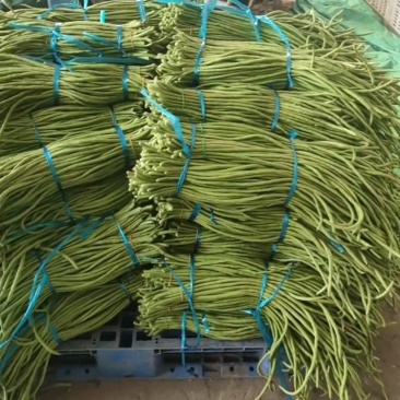 长豆角大量上市！