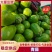 精品青茄子,产地直销,一手货源,全国代发诚信经营