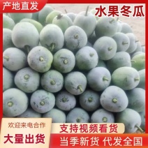 翡翠水果小冬瓜2-4，产地直发，电商，商超，大量提供货源