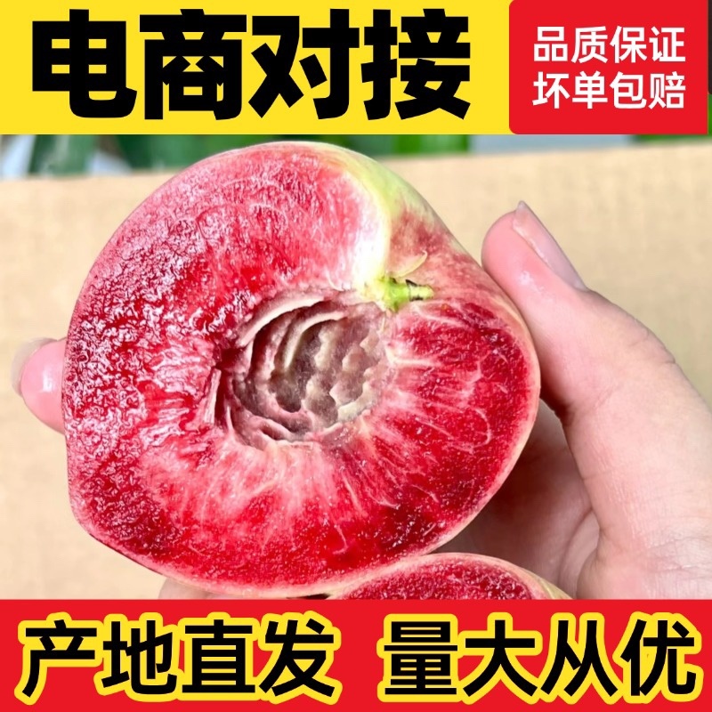 河南血桃朱砂红一件代发胭脂红桃子大量现货头茬采摘对接电商
