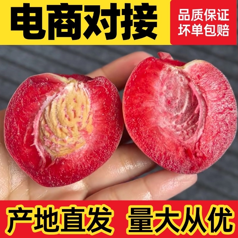 河南血桃朱砂红一件代发胭脂红桃子大量现货头茬采摘对接电商