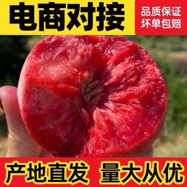 血桃代发河南血桃朱砂朱砂红对接电商头茬大果一件代发