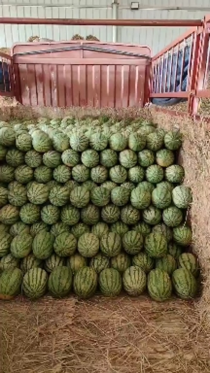 湖北产区硒砂大石头瓜