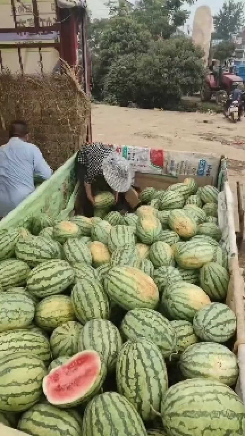 湖北产区硒砂大石头瓜