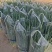 【推荐】精品小葱产地供应量大从优质量保证诚信经营欢迎咨询