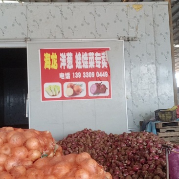 天然新鲜萝卜厂家直销欢迎电话咨询