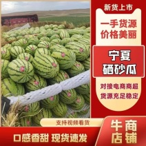 【实力商家】宁夏精品硒砂瓜大量供应现摘现发一手货源