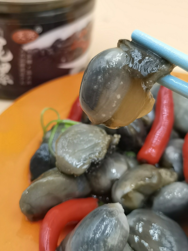 辽宁丹东大泥螺
