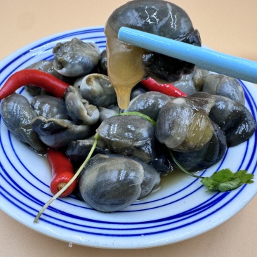辽宁丹东大泥螺